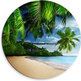 WallClassics - Dibond Muurcirkel - Palmbomen aan het Strand - 50x50 cm Foto op Aluminium Muurcirkel (met ophangsysteem)