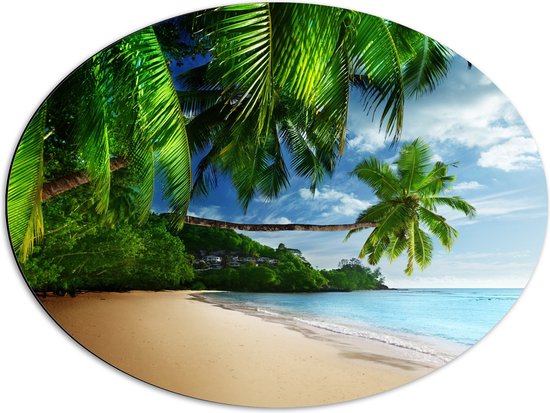 WallClassics - Dibond Ovaal - Palmbomen aan het Strand - 68x51 cm Foto op Ovaal (Met Ophangsysteem)