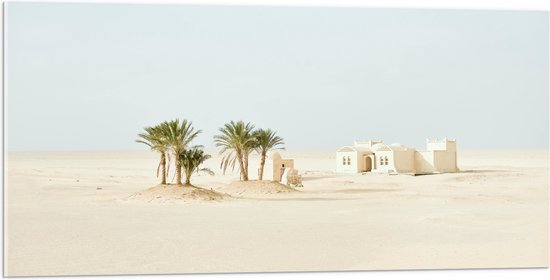 WallClassics - Acrylglas - Woestijn met Palmbomen en Gebouw - 100x50 cm Foto op Acrylglas (Met Ophangsysteem)