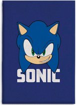 Sonic the Hedgehog - Fleece plaid - Fleecedeken - 100x140 Cm - Blauw - Polyester.