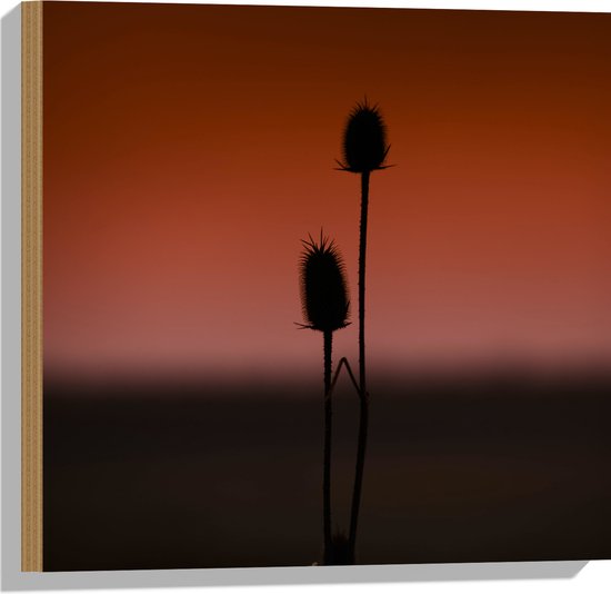 WallClassics - Hout - Silhouette van een Bloem - 50x50 cm - 12 mm dik - Foto op Hout (Met Ophangsysteem)