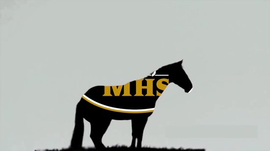 MHS Halster Fancy Zwart Shet