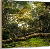 WallClassics - Bois - Troncs, Branches et Feuilles en Forêt - 100x100 cm - 12 mm d'épaisseur - Photo sur Bois (Avec Système d'accrochage)