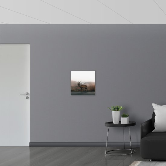WallClassics - Panneau de mousse PVC - Magnifique cerf au bord de la route - Photo 50x50 cm sur panneau de mousse PVC