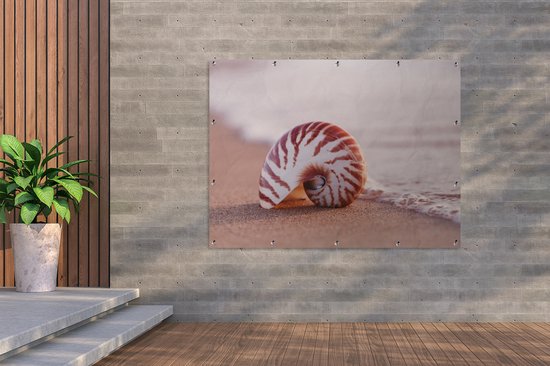 Décoration murale murale extérieure Coquillage - Plage - Mer - Sable - 160x120 cm - Toile de jardin - Poster extérieur