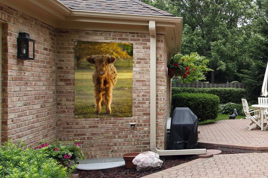 Affiche jardin - Toile Posters de jardin extérieur - Highlander écossais - Veau - Automne - 90x120 cm - Jardin