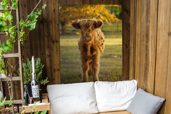 Affiche jardin - Toile Posters de jardin extérieur - Highlander écossais - Veau - Automne - 90x120 cm - Jardin