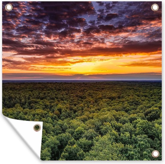 Tuin poster Bos - Nacht - Lucht - Horizon - Bomen - 200x200 cm - Tuindoek - Buitenposter