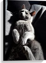 WallClassics - Toile - Chat Paresseux Gris sur le Canapé - 40x60 cm Tableau sur Toile (Décoration murale sur Toile)