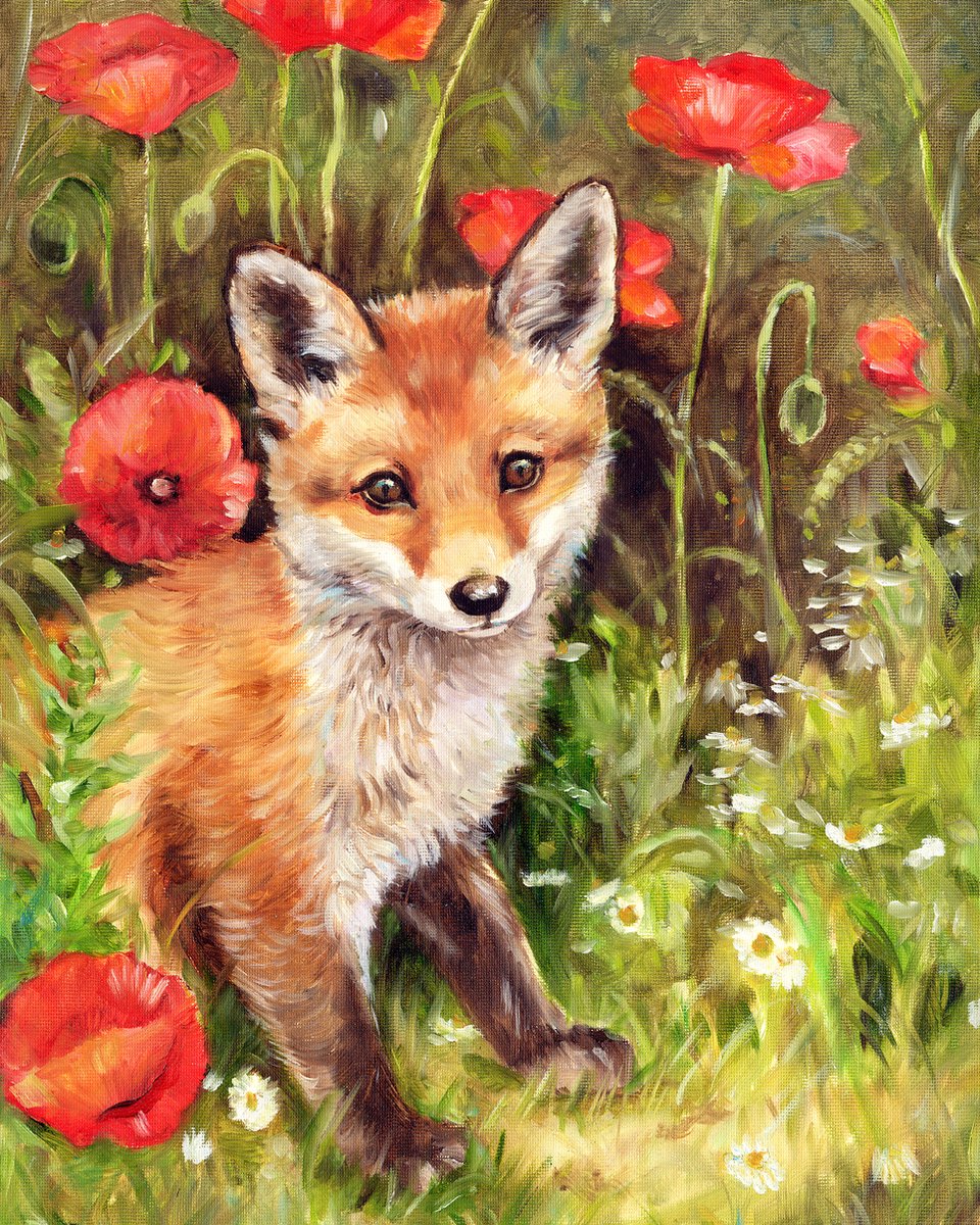 Diamond Painting Fox cub in poppy field - 40 x 50 cm