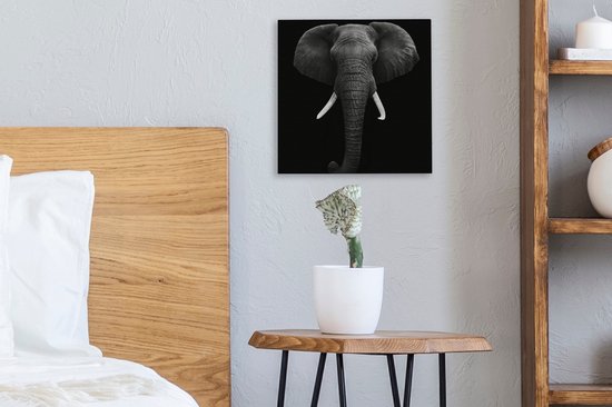 Canvas - Dieren - Olifant - Zwart - Wit - Muurdecoratie - 20x20 cm - Foto op canvas - Canvas schilderijen woonkamer