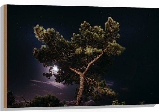 WallClassics - Hout - Boom Top in Paarse Hemel - 90x60 cm - 12 mm dik - Foto op Hout (Met Ophangsysteem)