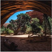 WallClassics - Poster Glossy - Troncs D'arbres Dans Une Grotte Avec Belle Vue - 50x50 cm Photo sur Papier Poster avec Finition Brillante