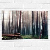 WallClassics - Muursticker - Omgevallen Bomen in het Bos - 60x40 cm Foto op Muursticker