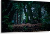 WallClassics - Canvas  - Grote Kromme Bomen in het Bos - 120x80 cm Foto op Canvas Schilderij (Wanddecoratie op Canvas)