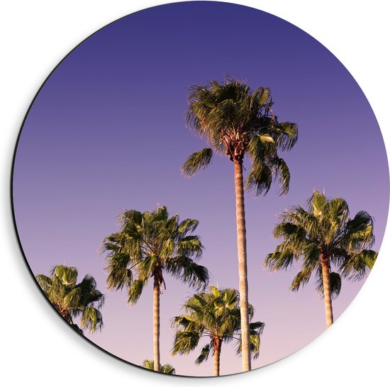WallClassics - Cercle mural Dibond - Cime des palmiers dans les airs - Photo 40x40 cm sur cercle mural en aluminium (avec système d'accrochage)