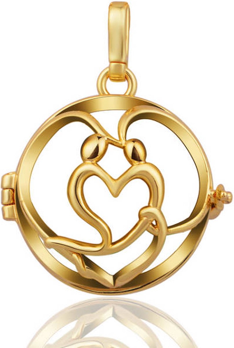 Goedkoopste Clariz klankbolhouder Familie goud - zwangerschapsbel houder - zwangerschapshanger - zwangerschapsketting - bola
