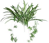 Graslelie - Chlorophytum - Kunstplant - Losse bladsteker - Zonder pot ø 50 x H60 cm