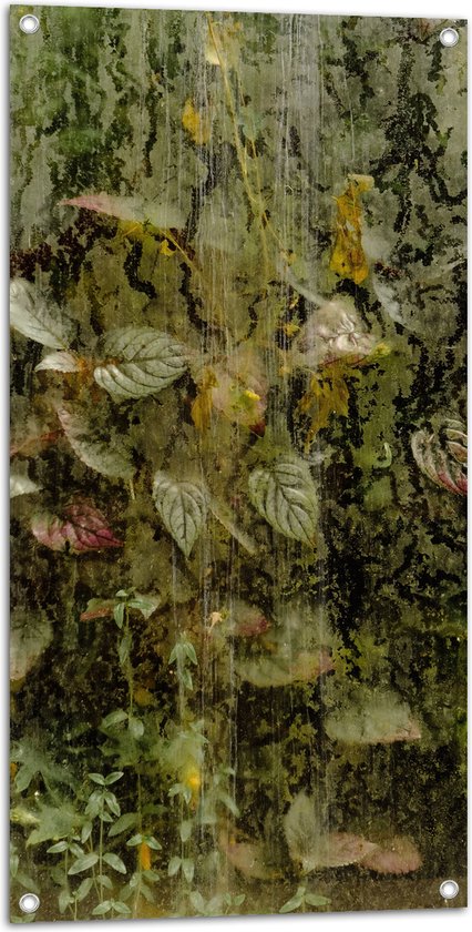 WallClassics - Garden Poster - Growing Leaves and Moss - 50x100 cm Photo sur Garden Poster (décoration murale pour l'extérieur et l'intérieur)