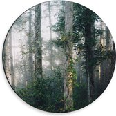 WallClassics - Dibond Muurcirkel - Mist tussen Bomen - 30x30 cm Foto op Aluminium Muurcirkel (met ophangsysteem)