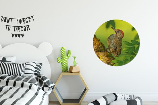 Pic vert en diagonale sur un arbre Wall cercle aluminium