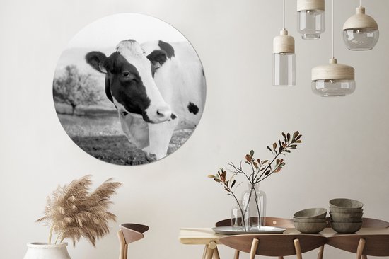 Portrait de vache Cercle mural aluminium ⌀ 120 cm - Tirage photo sur cercle mural / cercle vivant / cercle de jardin (décoration murale) XXL / Groot format!