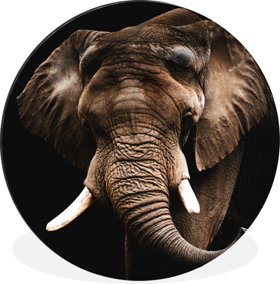 WallCircle - Peinture - Dents D'éléphant - Multicolore - 90 X 90 Cm