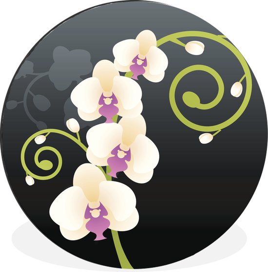 WallCircle - Wandcirkel - Muurcirkel - Een illustratie van een krullende witte orchidee - Aluminium - Dibond - ⌀ 60 cm - Binnen en Buiten
