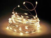 STEGGER - kerstverlichting - Lichtsnoer - Flesverlichting 20 LED zilverdraad warm wit