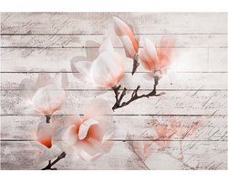 Fotobehangkoning - Behang - Vliesbehang - Fotobehang Magnolia - Bloem op Hout - Subtlety of the Magnolia - 150 x 105 cm