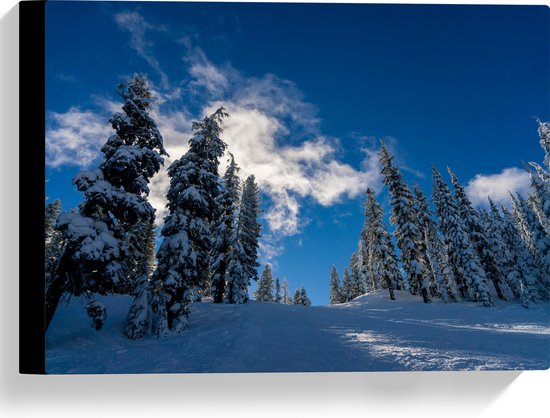 WallClassics - Canvas  - Hoge Smalle Bomen in de Sneeuw met Zon - 40x30 cm Foto op Canvas Schilderij (Wanddecoratie op Canvas)