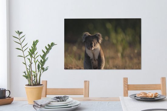 Peintures sur toile Koala - Soleil - Animaux - 90x60 cm - Décoration murale