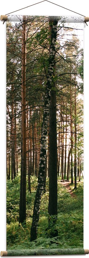 WallClassics - Textielposter - Hoge Bomen met Groen in Bos - 40x120 cm Foto op Textiel