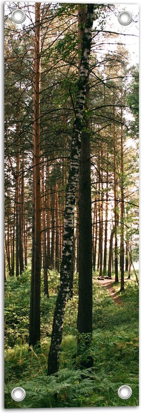 WallClassics - Poster de Jardin - Grands Arbres avec Verdure en Forêt - 20x60 cm Photo sur Poster de Jardin (décoration murale pour l'extérieur et l'intérieur)