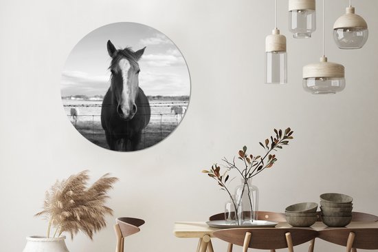 Cheval derrière un fil de fer barbelé (noir et blanc) Cercle mural aluminium ⌀ 90 cm - Tirage photo sur cercle mural / cercle vivant / cercle de jardin (décoration murale)