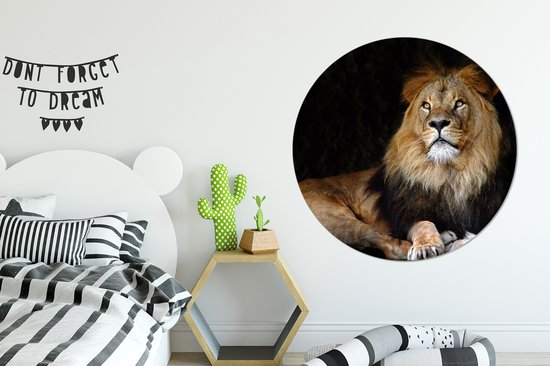 Lion couché sur fond noir Cercle mural aluminium ⌀ 120 cm - tirage photo sur cercle mural / cercle vivant / cercle de jardin (décoration murale) XXL / Groot format!