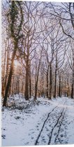 WallClassics - PVC Schuimplaat- Kale Bomen in Bos tijdens Winter - 50x100 cm Foto op PVC Schuimplaat