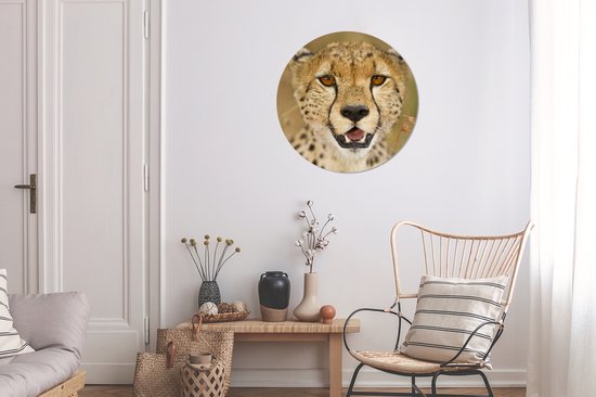 Cercle mural - Cercle mural - léopard - Coupe - Plantes - Aluminium - ⌀ 60 cm - Intérieur et extérieur