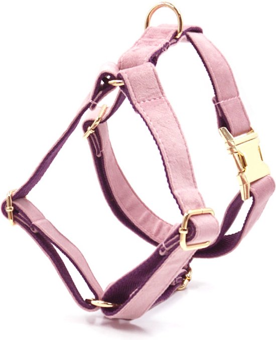 Hondentuigje Roze Maat XS - Hondentuigjes Hond Medium - Hondentuigje Kleine Honden - Hondentuig Grote Hond