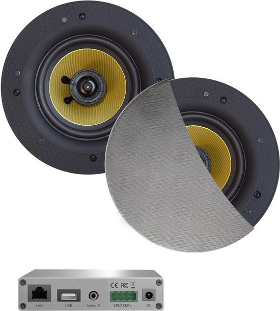 Twee ronde inbouw speakers met gele conussen en een zilverkleurige versterker met LAN, USB, audio in en speaker aansluitingen.