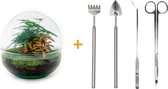 Terrarium - Dome Red - ↑ 20 cm - Ecosysteem plant - Kamerplanten - DIY planten terrarium - Mini ecosysteem + Hark + Schep + Pincet + Schaar