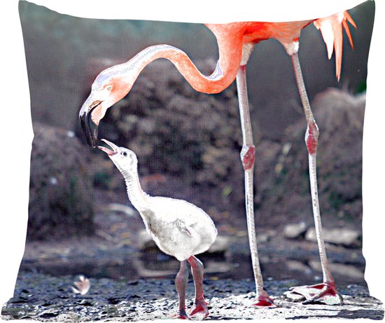 Sierkussens - Kussen - Moeder flamingo voedt haar baby - 40x40 cm - Kussen van katoen
