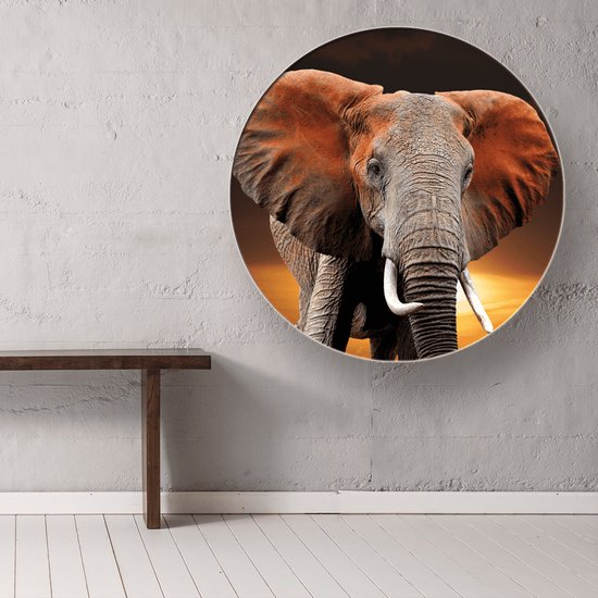 Wanddecoratie / Schilderij / Poster / Doek / Schilderstuk / Muurdecoratie / Fotokunst / Tafereel Elephant on sunset (rond) gedrukt op Geborsteld aluminium