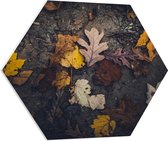 WallClassics - PVC Schuimplaat Hexagon  - Herfstbladeren in het Zand - 70x60.9 cm Foto op Hexagon (Met Ophangsysteem)