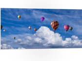 WallClassics - PVC Schuimplaat - Gropeje Luchtballonnen bij Witte Wolken - 100x50 cm Foto op PVC Schuimplaat (Met Ophangsysteem)