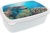 Broodtrommel Wit - Lunchbox - Brooddoos - Dolfijn - Zee - Koraal - 18x12x6 cm - Volwassenen