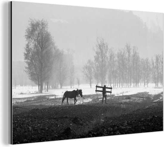 Wanddecoratie Metaal - Aluminium Schilderij Industrieel - Paard - Boerderij - Sneeuw - 60x40 cm - Dibond - Foto op aluminium - Industriële muurdecoratie - Voor de woonkamer/slaapkamer