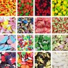 Friandises mélangés - 900 grammes - Pick N Mix - Sweet Sour - Hard and Soft - Scoop Candy - Candy Mix Bag - Snoep - Cadeau