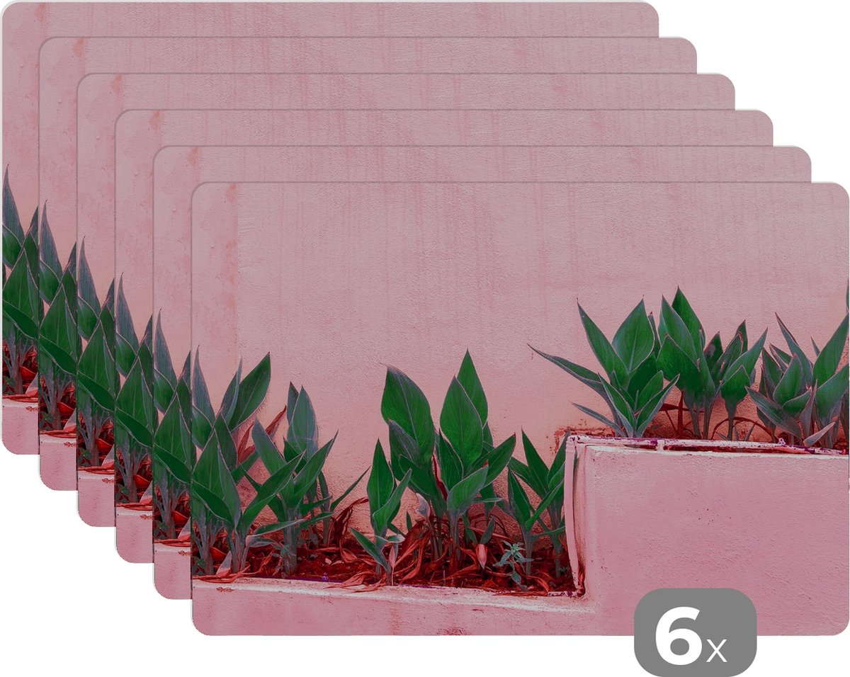 Placemat - Placemats kunststof - Planten - Zomer - Verf - 45x30 cm - 6 stuks - Hittebestendig - Anti-Slip - Onderlegger - Afneembaar