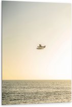 WallClassics - Dibond - Klein Vliegtuig boven het Zeewater - 80x120 cm Foto op Aluminium (Met Ophangsysteem)